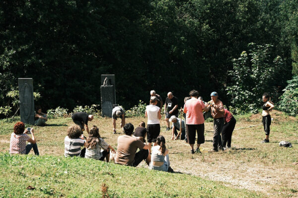 53079174653_41a9ee08a8_c