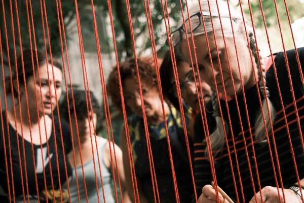 53106796936_a89f2eb873_c