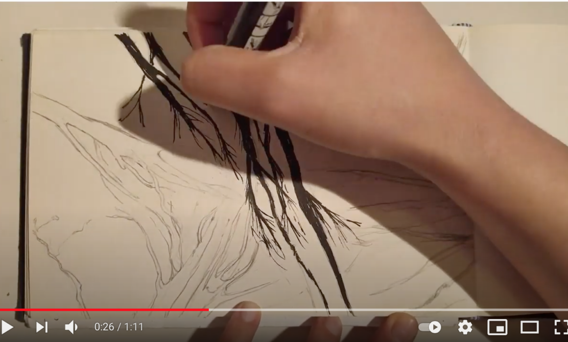 Martxoak 21 – Basoen Nazioarteko Eguna