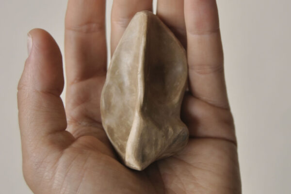 Hezur-lurra. Ainhoa Goenaga Hezur-lurra. Ainhoa Goenaga