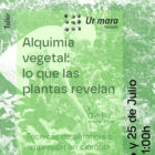 Alkimia begetala / Alquimia vegetal - Tailerra / Taller. Uztailak 4 & 25 de julio
