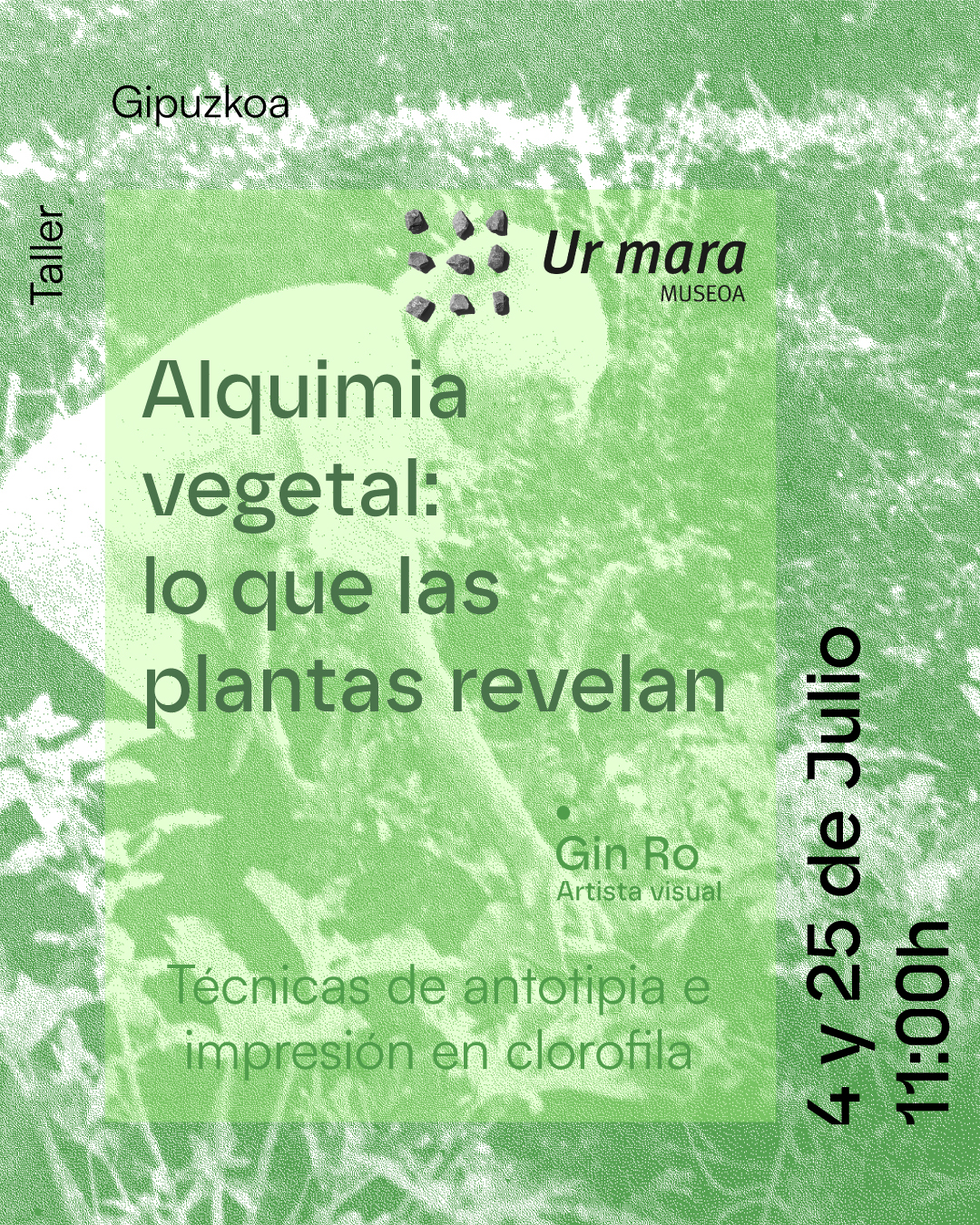 Alkimia begetala / Alquimia vegetal - Tailerra / Taller. Uztailak 4 & 25 de julio